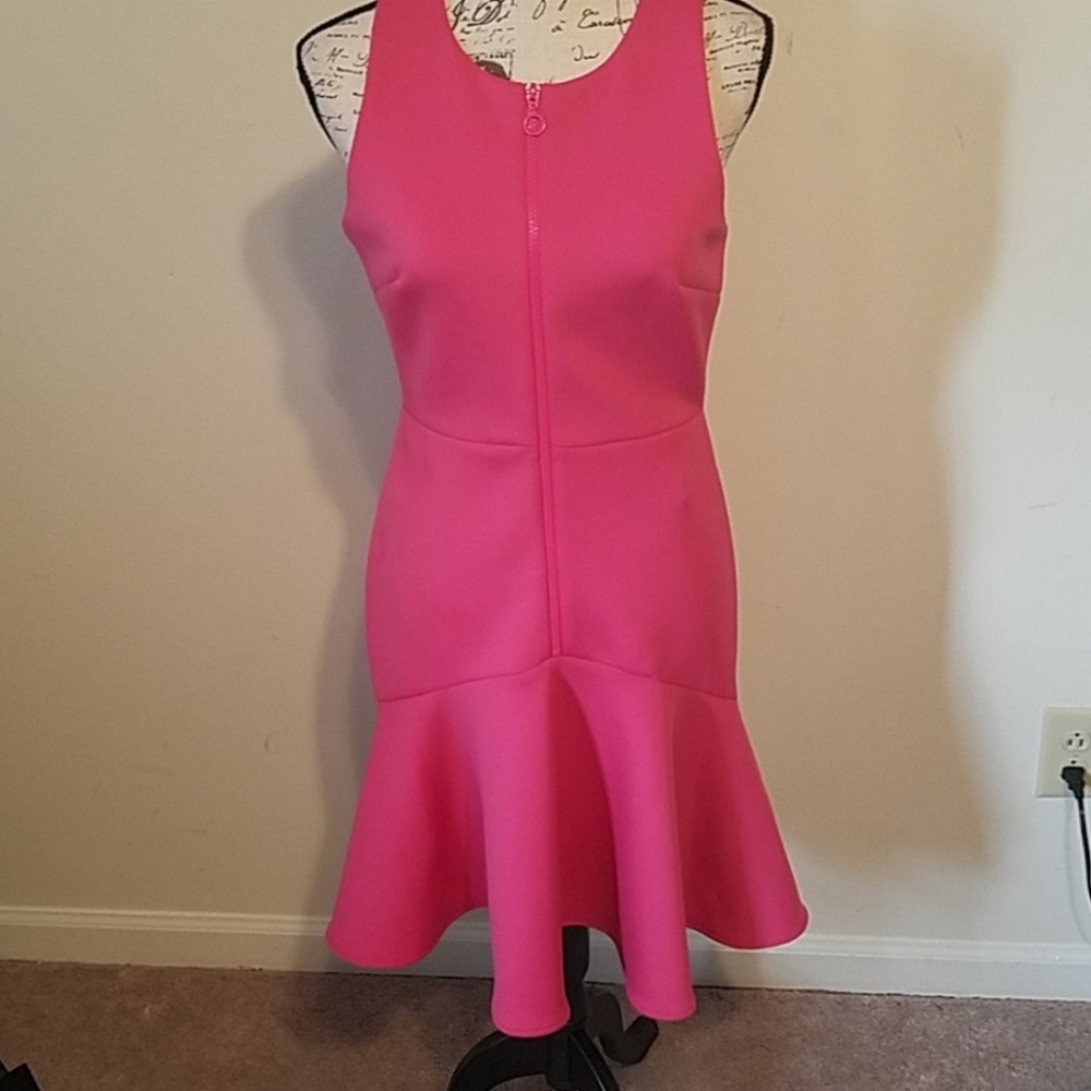 NWT Calvin Klein Size 4 Pink Ruffle Dress